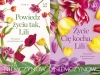 Lilianna Berg Tom 1+2 Życie cię kocha, Lili + Powiedz życiu tak, Lili - Anna H. Niemczynow