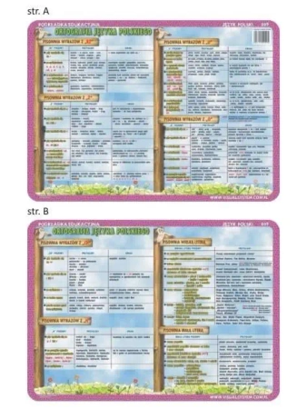Podkładka edu. 009 - Ortografia: ch, h, rz, ż, ó.. - Visual System