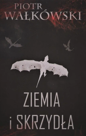 Ziemia i skrzydła - Piotr Wałkówski