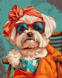 Malowanie po numerach - Stylowy Shih tzu 40x50cm - Ideyka