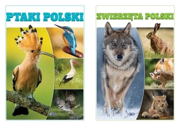 Ptaki Polski + Zwierzęta Polski Albumy PAKIET Fenix - Opracowanie zbiorowe