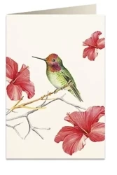 Karnet B6 + koperta 5998 Koliber - Tassotti