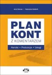 Plan kont z komentarzem Handel, produkcja, usługi - Jerzy Gierusz, Katarzyna Kolesnik
