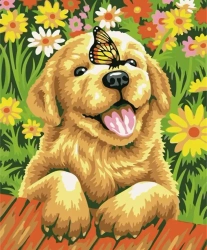 Malowanie po numerach 40x50cm Piesek z motylem - Koh-I-Noor