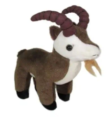 Kozica 19cm - Sun-Day