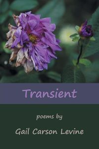 Transient - Gail Carson Levine