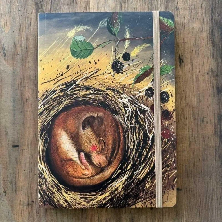 Notatnik z gumką A5 LCN37 Koszatka - Alex Clark