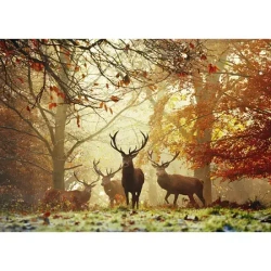 Puzzle 1000 elementów. Magiczny las. Jelenie