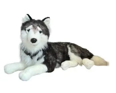 Husky leżący 60cm - Dubi