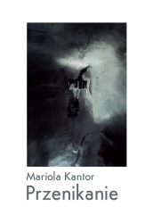 Przenikanie - Mariola Kantor