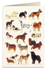 Karnet B6 + koperta 8948 Psy 2 - Tassotti