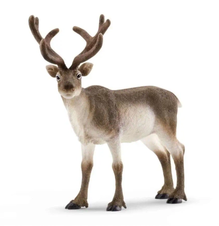 Renifer - SCHLEICH