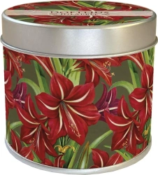 Zapachowa świeczka gwiazda bet. - zapach jabłkowy - Skona Ting