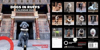 Kalendarz 2026 ścienny kwadrat Psy w kryzach - Flame Tree