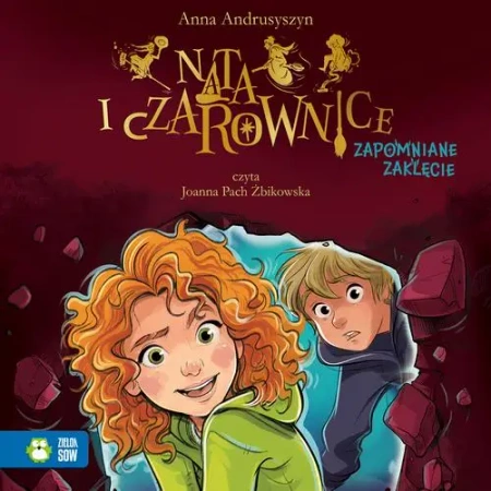 audiobook Nata i czarownice. Zapomniane zaklęcie - Anna Andrusyszyn