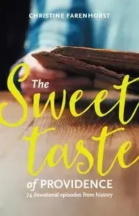 The sweet taste of providence - Christine Farenhorst