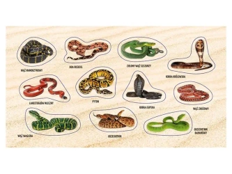 Naklejki Żmije i węże 2.0 - Ranok-Creative