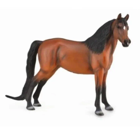 Morgan Bay Deluxe - Collecta