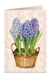 Karnet B6 + koperta 5691 Hiacynty - Tassotti