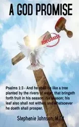 A God Promise - Johnson Stephanie