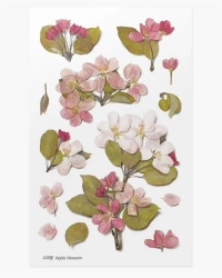 Naklejki ozdobne kwiaty - Jabłoń - Appree