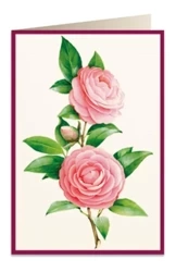 Karnet B6 + koperta 5817 Kamelia 2 - Tassotti