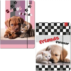 Teczka A4 z gumką Psy Koty mix - Bee-bee