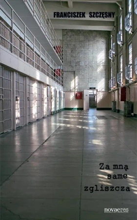 eBook Za mną same zgliszcza - Franciszek Szczęsny epub mobi