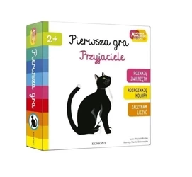 Pierwsza gra - Przyjaciele AMD - null null