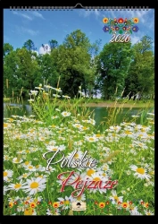 Kalendarz 2026 A4 ścienny na spirali pejzaże - Pan Kalendarzyk