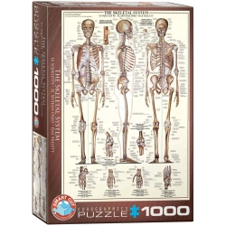 Puzzle 1000 elementów. Układ szkieletowy