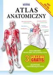 Atlas anatomiczny - Zespół