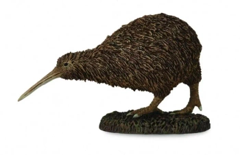 Kiwi - Collecta