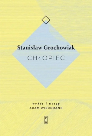 Chłopiec - Stanisław Grochowiak
