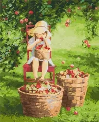 Malowanie po numerach - Jabłuszko 40x50cm - Ideyka