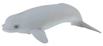 Wieloryb beluga młode - Collecta