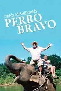 Perro Bravo - McGillicuddy Paddy