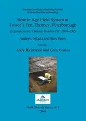 Bronze Age Field System at Tower's Fen, Thorney, Peterborough - Andrew Mudd
