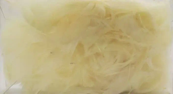 Kremowe piórka dekoracyjne - Pentacolor