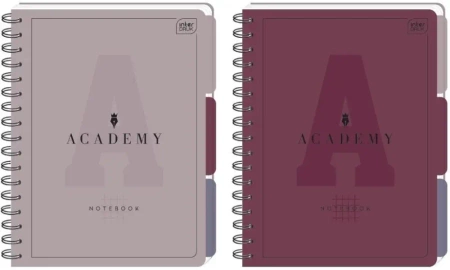 Kołozeszyt B5/100K kratka przekł PP Academy mix - INTERDRUK