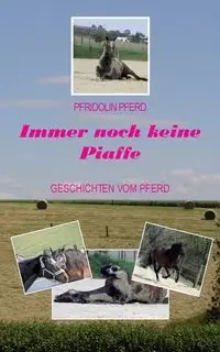 Immer noch keine Piaffe - Pferd Pfridolin