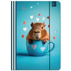 Paczka Teczka A4 z gumką Kapibara morska 5 sztuk - EV-Corp PAP