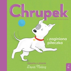 Chrupek i zaginiona piłeczka - David Melling