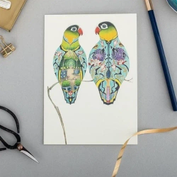 Karnet A088 B6 + koperta Papużki - DM Collection