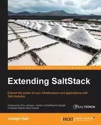 Extending SaltStack - Joseph Hall
