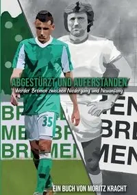 Abgestürzt und auferstanden - Kracht Moritz