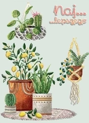 Karnet B6 Kwiaty doniczkowe - Henry