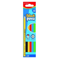 Ołówek drewniany HB kolorowa obudowa 12szt - Keyroad