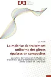 La maîtrise de traitement uniforme des pièces épaisses en composites - DOUADJI-L