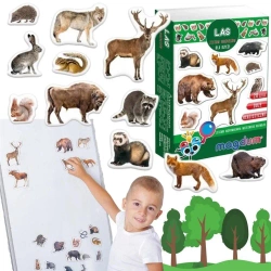 Mieszkańcy lasu - zestaw magnesów - Aston Active